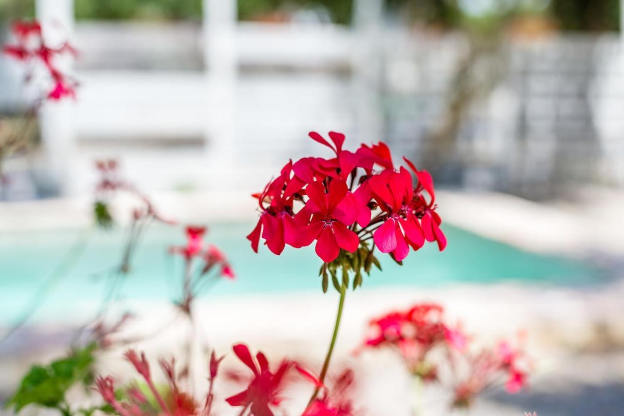 Casita-Estudio El Castano เอลปัลมาร์ ภายนอก รูปภาพ